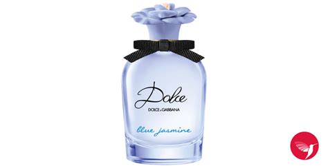 like blue dolce gabbana|dolce and gabbana blue jasmine.